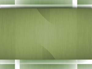弹性定价